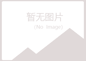 化州夏岚会计有限公司